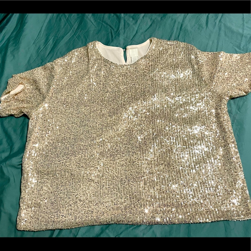 Sequin H&M Top